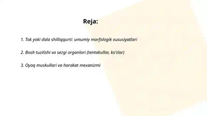 Tok yoki dala shilliqqurti misolida qorinoyoqli mollyuskalarning tuzilishini oʻrganish 2