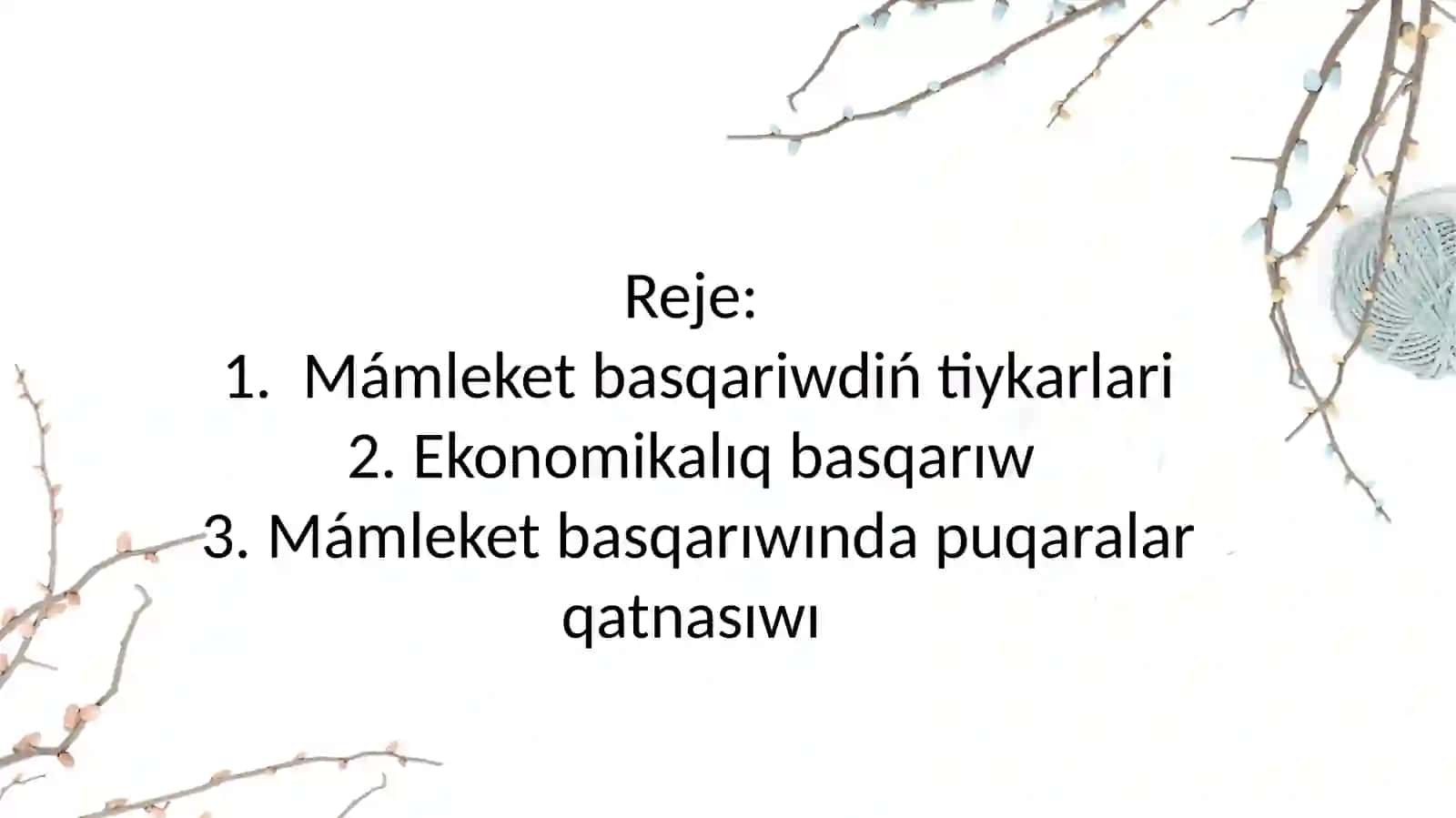 Mámleket basqariwdiń tiykarlari 2
