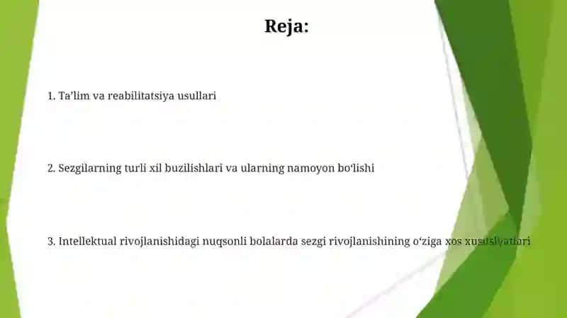 Aqli zaif bolalar sensor taraqqiyotining oʻziga xosligi 2