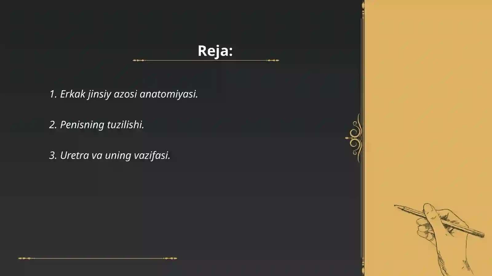 Erkak jinsiy azosi anatomiyasi va fizalogiyasi 2