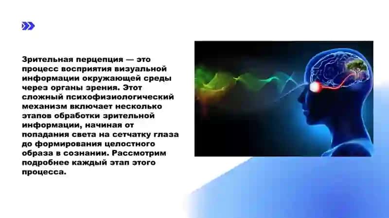 ЗРИТЕЛЬНАЯ ПЕРЦЕПЦИЯ 2