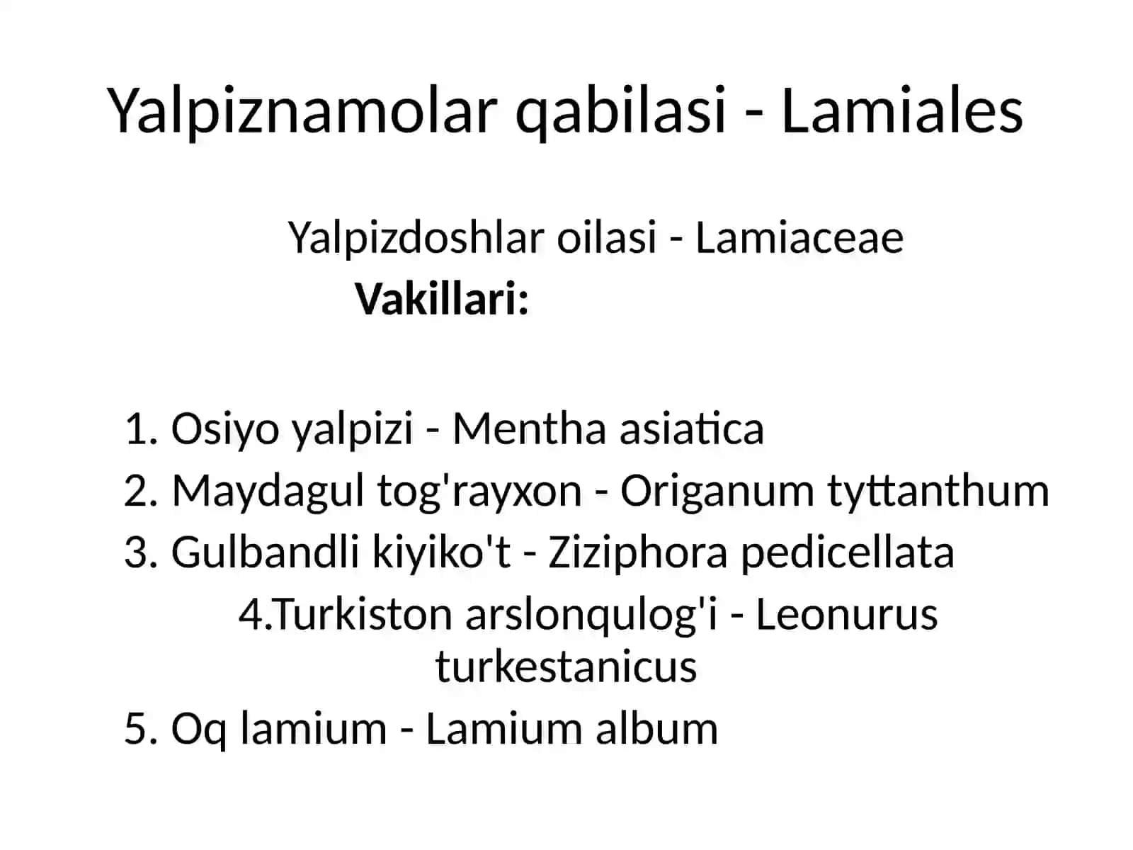 Yalpiznamolar qabilasi, Labguldoshlar oilasi - Lamiaceae (Labiatae) 2