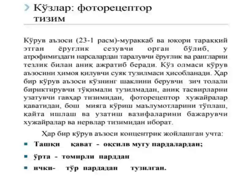 Koʻrishaʼzosi, gistologik tuzilishi 2