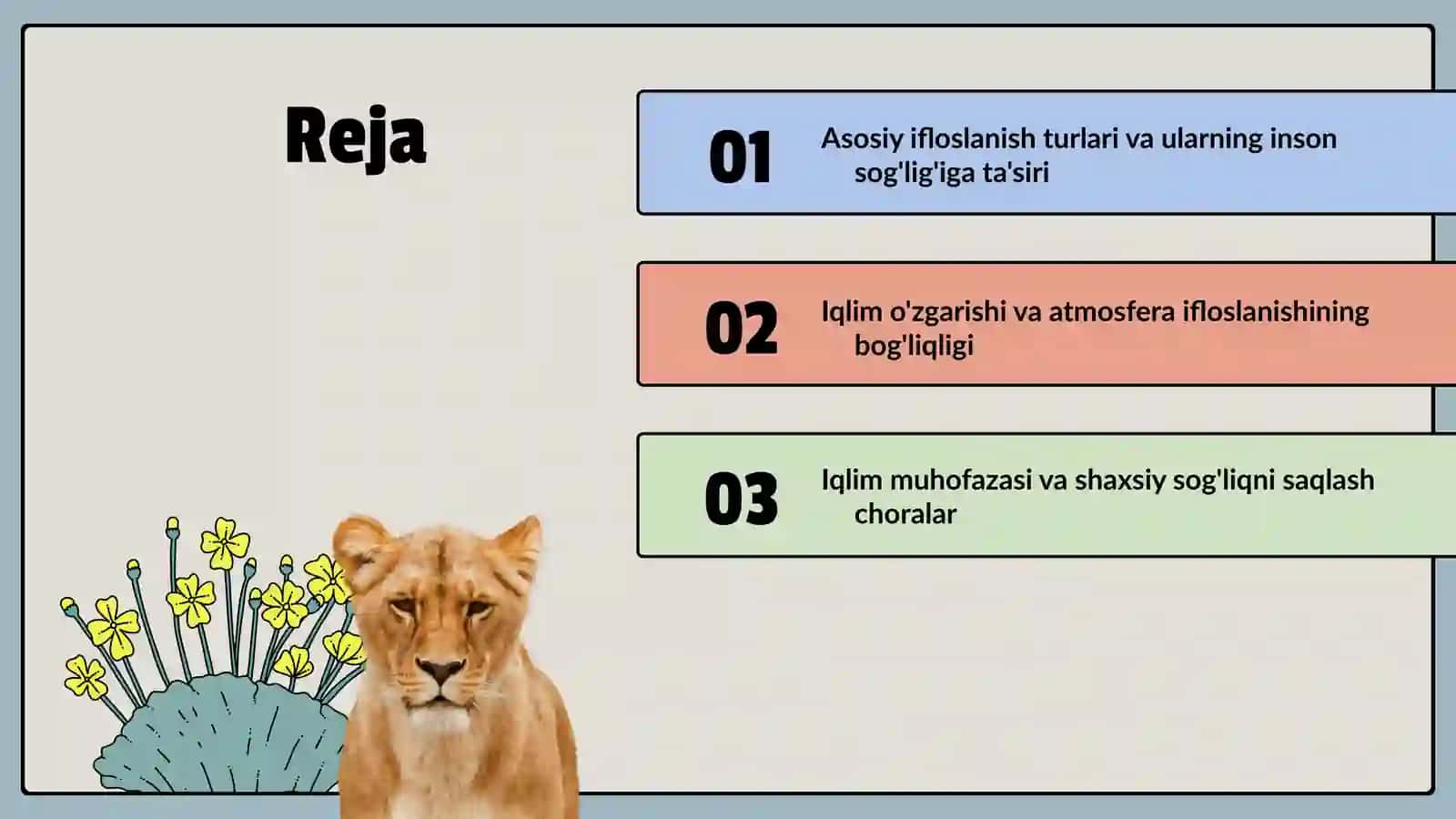 Atmosfera ifloslanishining inson sog'ligiga ta'siri 2