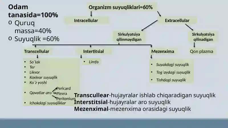Organizmning biologik suyuqliklari. Qonning fizikaviy kimyoviy xossalari. Eritrotsitlar fiziologiyasi. Gemoglobin 2