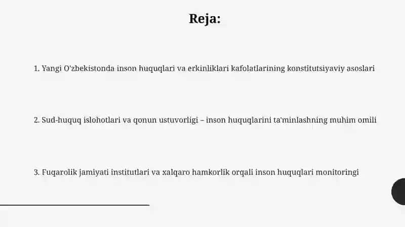 Yangi O'zbekiston Konstitutsiyasi: Inson huquqlarining kafolati 2