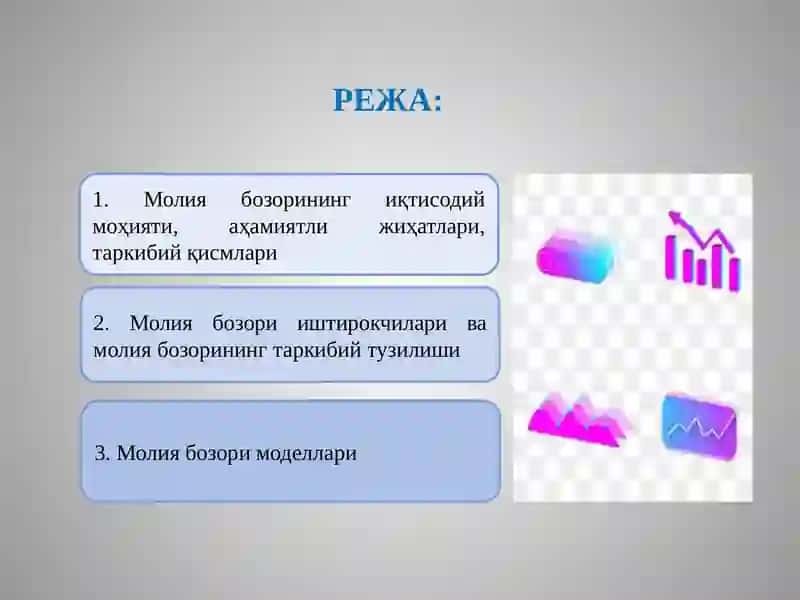 Молия бозорлари иқтисодиётдаги ўрни ва вазифалари 2