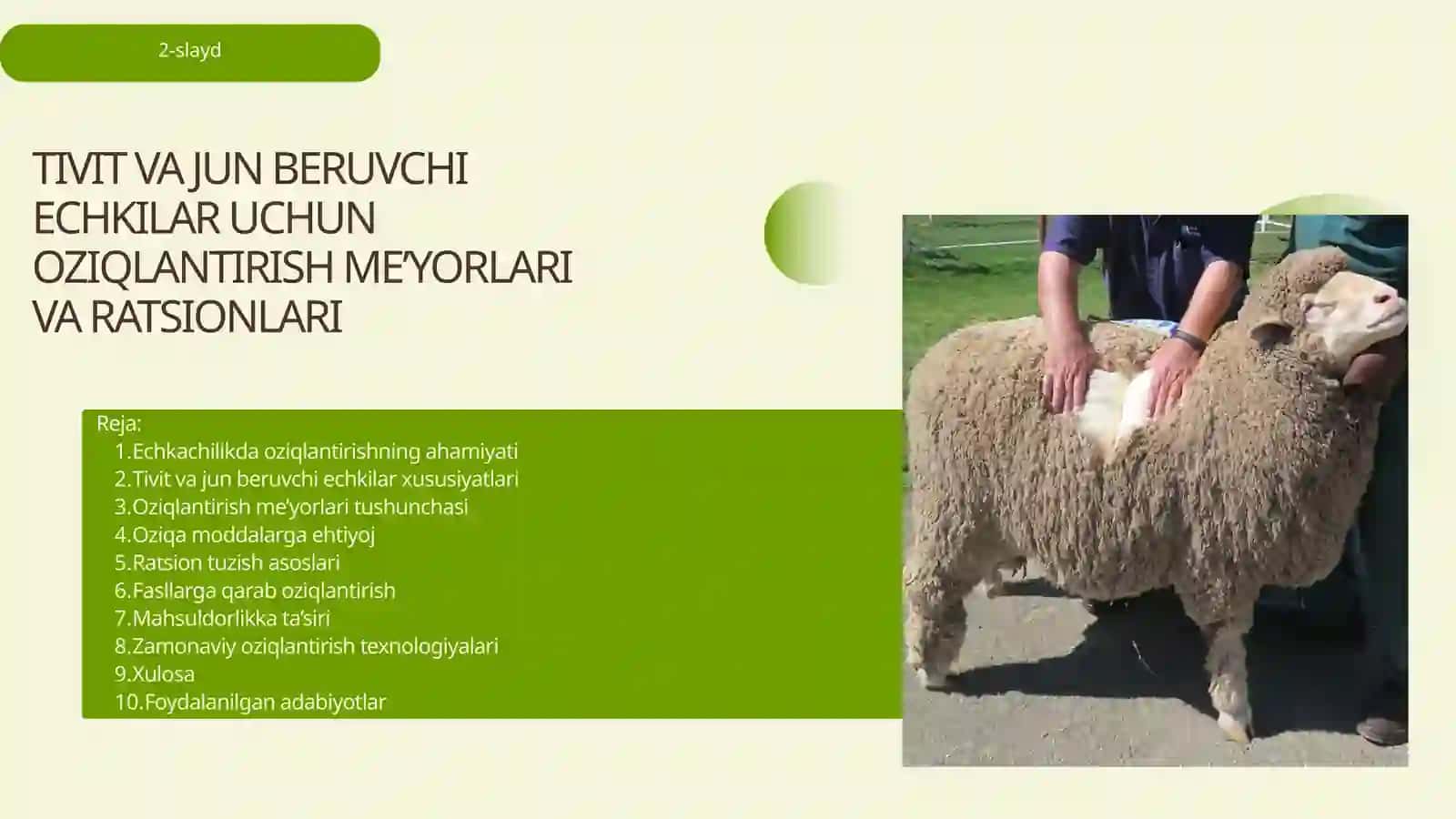 TIVIT VA JUN BERUVCHI ECHKILAR UCHUN OZIQLANTIRISH ME’YORLARI VA RATSIONLARI 2