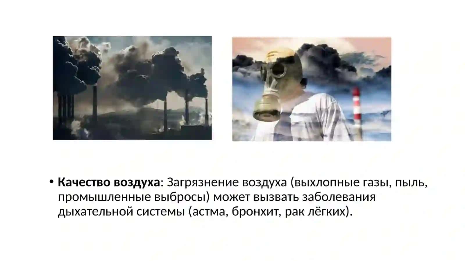 Зависимость здоровья человека от окружающей среды 2