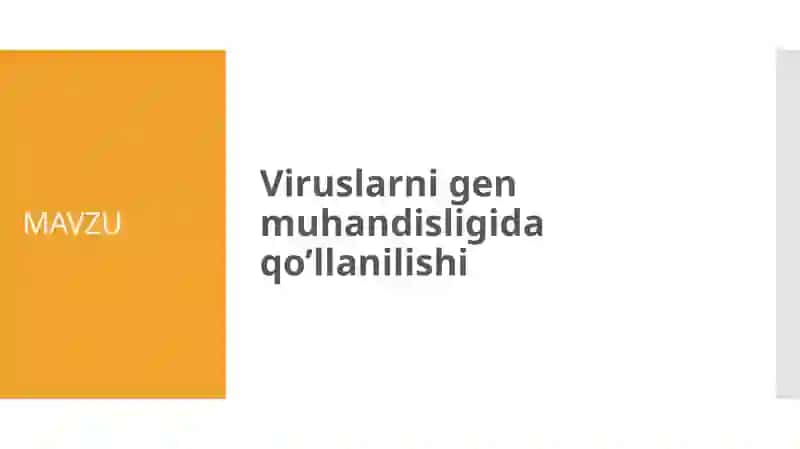 Virusli infektsiyalar va a’zolaridan tadqiqot 2