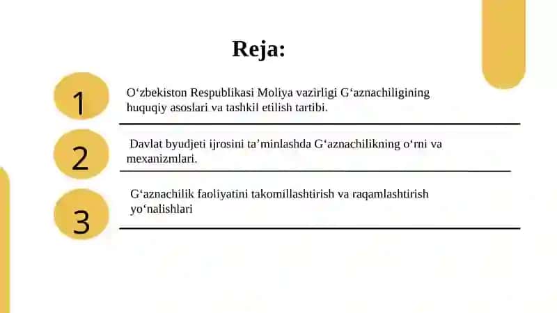 O‘zbekiston Respublikasi Moliya vazirligi G‘aznachiligi faoliyatini tashkil etish 2