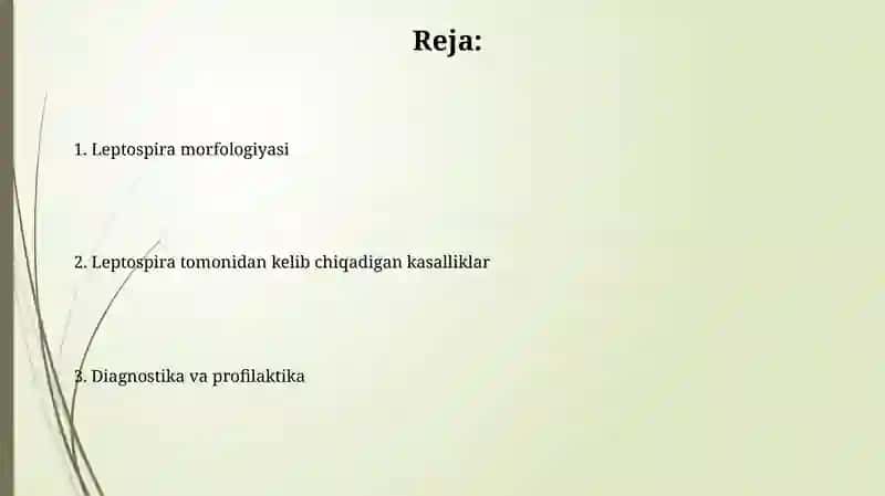 Leptospirozlar morfologiyasi, keltirib chiqaruvchi kasalliklari 2