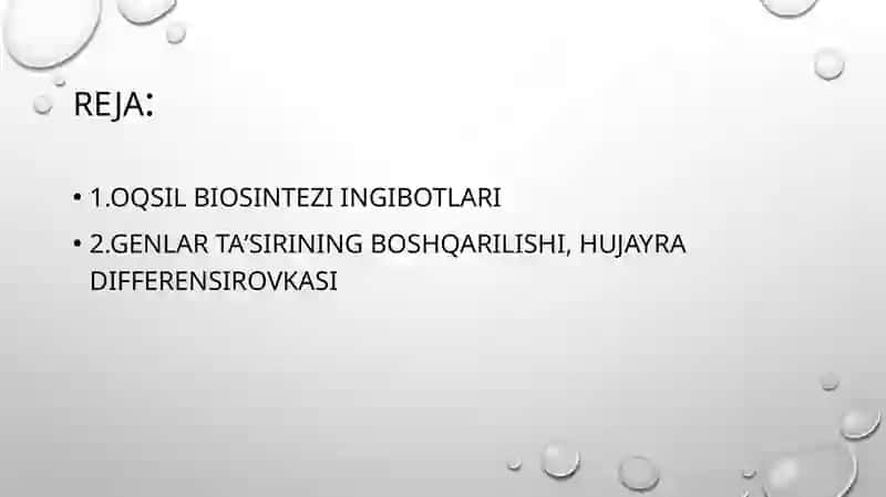 Oqsil biosintezi 2