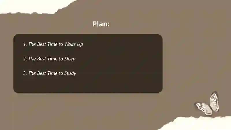The Best Time to Wake Up 2