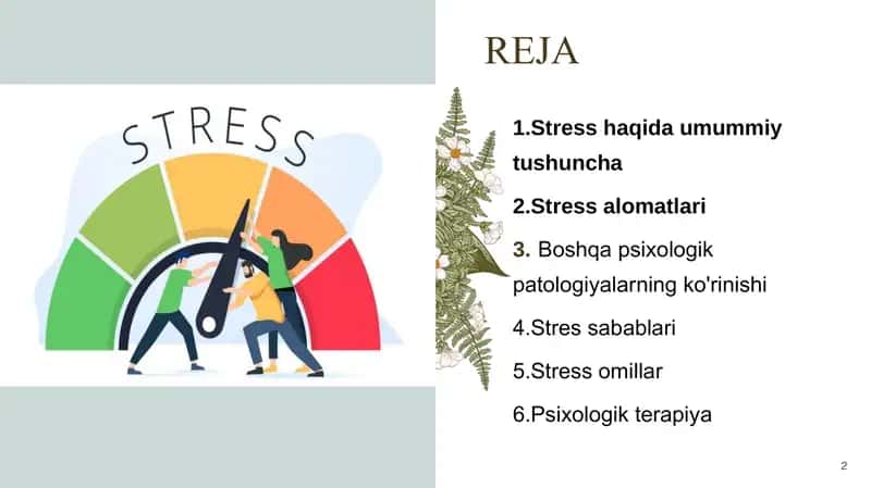 Stress haqida umumiy ma'lumotlar 2