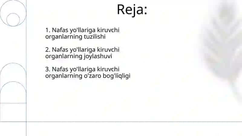 Nafas yóllariga kiruvchi aʼzolarni tuzilishi joylashishi 2