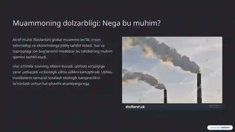 Ifloslangan suv va tuproqdagi ion bog'lanishli moddalardan tozalash 2