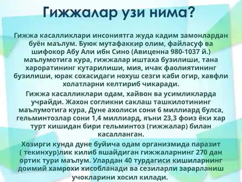 Гижжа инвазияси 2