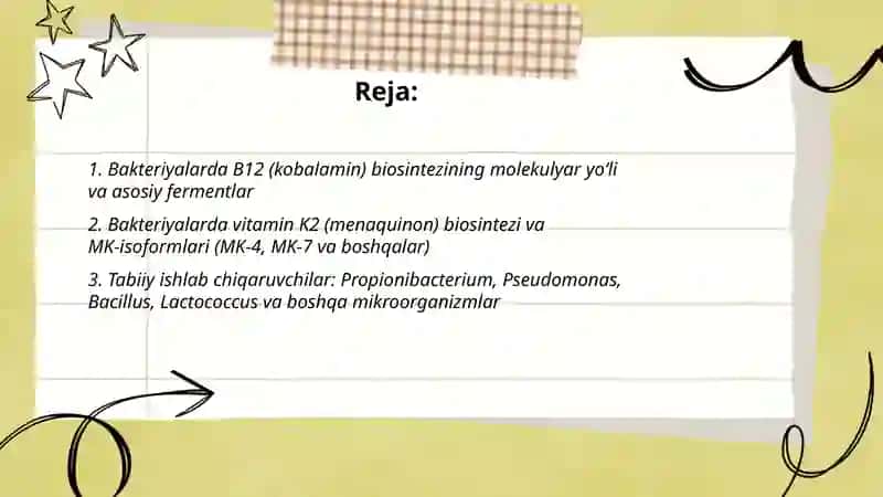 Bakteriyalar yordamida vitaminlar (B12, K2) biosintezi va ularning sanoat 2