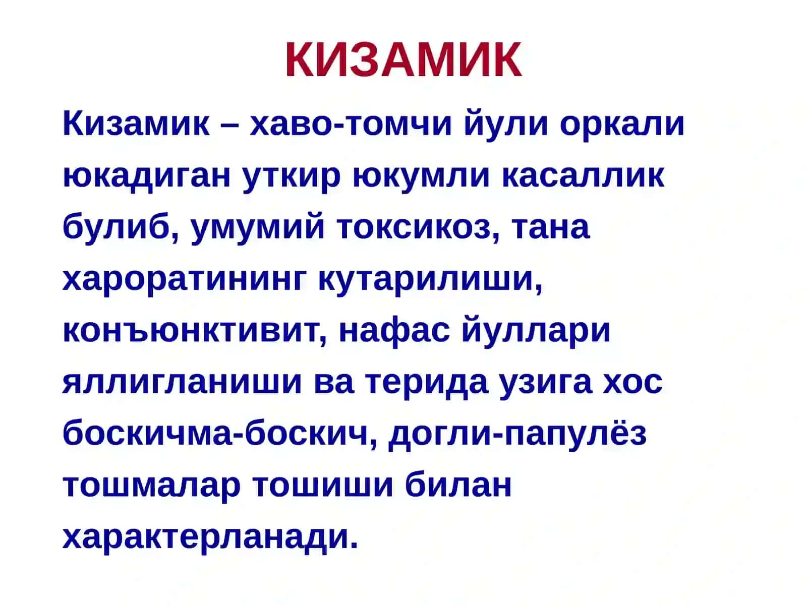 КИЗАМИК 2