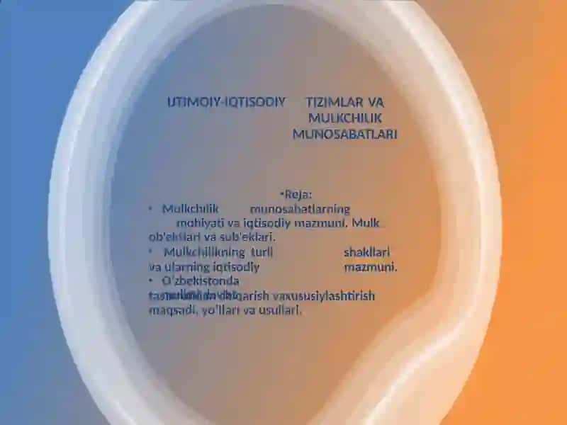 O’ZBEKISTONDA KO’P UKLADLI IQTISODIYOT VA MULKDORLAR SINFINING SHAKLLANISHI 2