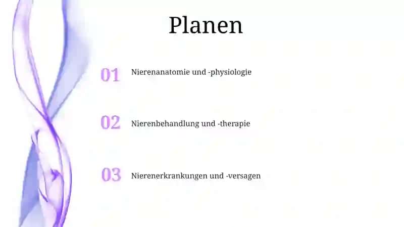 Die Nieren 2