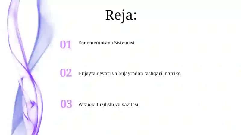 Vakuola tuzilishi va vazifasi 2