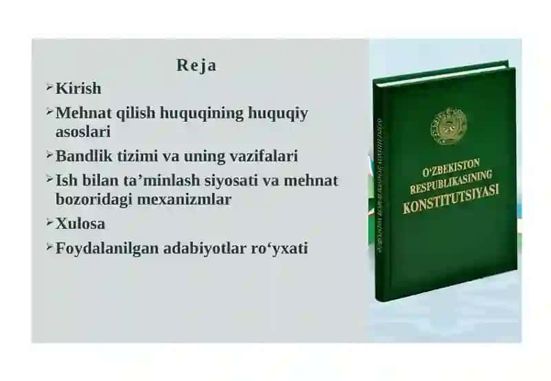 Mehnatqilish huquqi va ish bilan ta'minlash 2