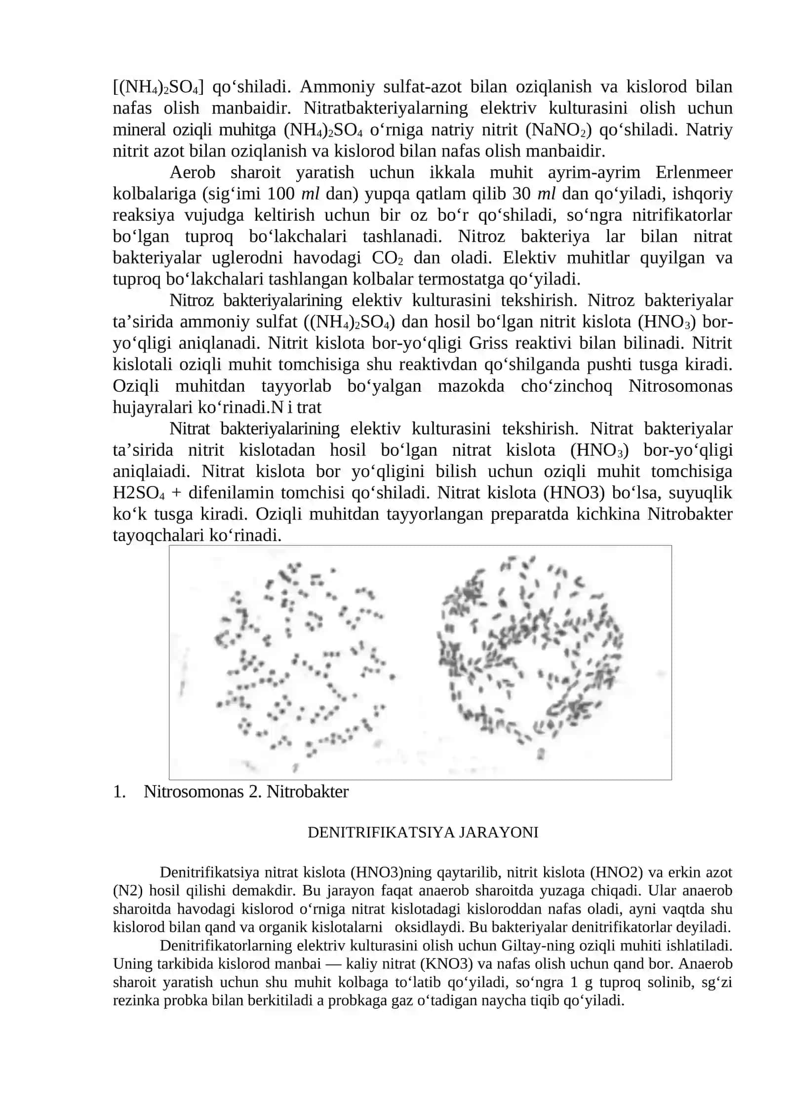 LABORATORIYA ISHI №7: AMMONIFIKATSIYA, NITRIFIKATSIYA VA DENITRIFIKATSIYA JARAYONI 2