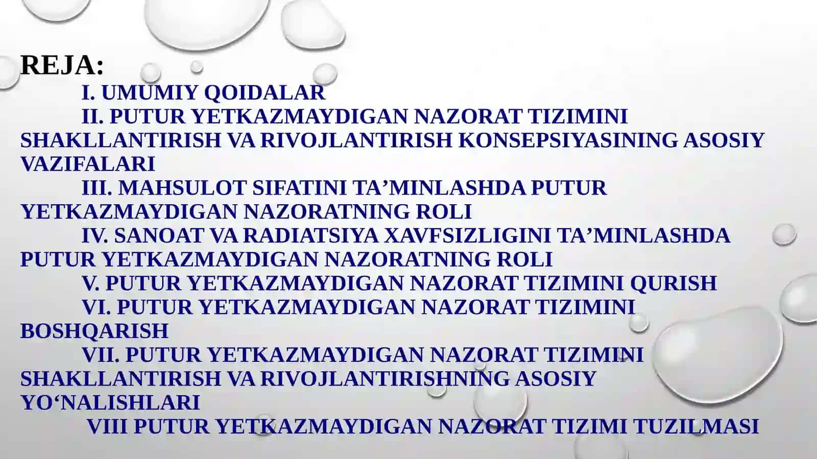 O'zbekiston Respublikasida putur yetkazmaydigan nazorat tizimini shakllantirish va rivojlantirish konsepsiyasi 2
