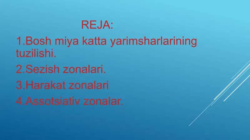 Bosh miya katTa yarimsharlarining tuzilishi. 2
