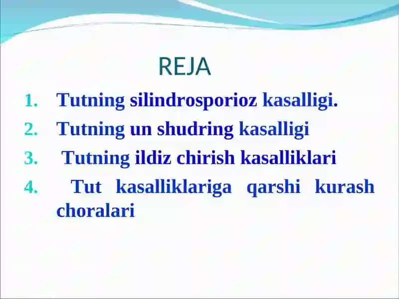 Tut kasalliklari va ularga qarshi kurash choralari 2
