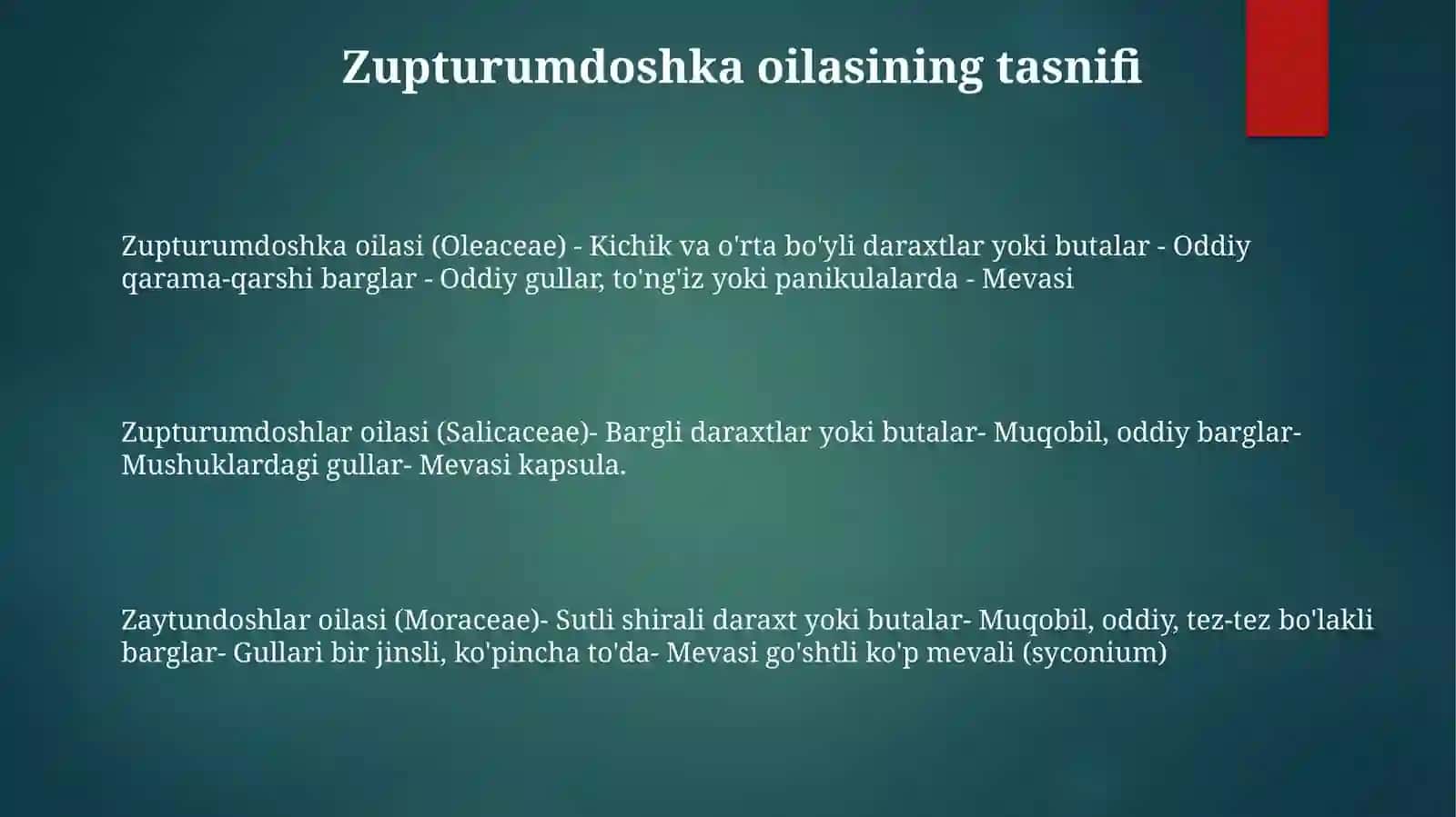 Zaytundoshlar Oilasi 2