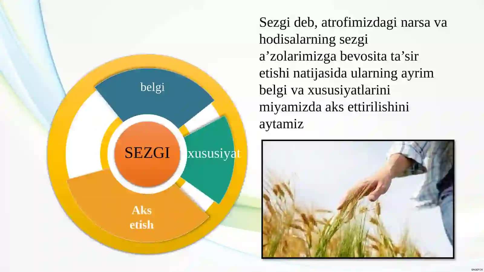 SEZGI 2