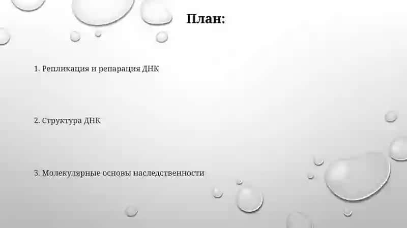 Молекулярные основы наследственности. Строение ДНК. Репликация ДНК. Репарация. Сатторова Жасмина 2