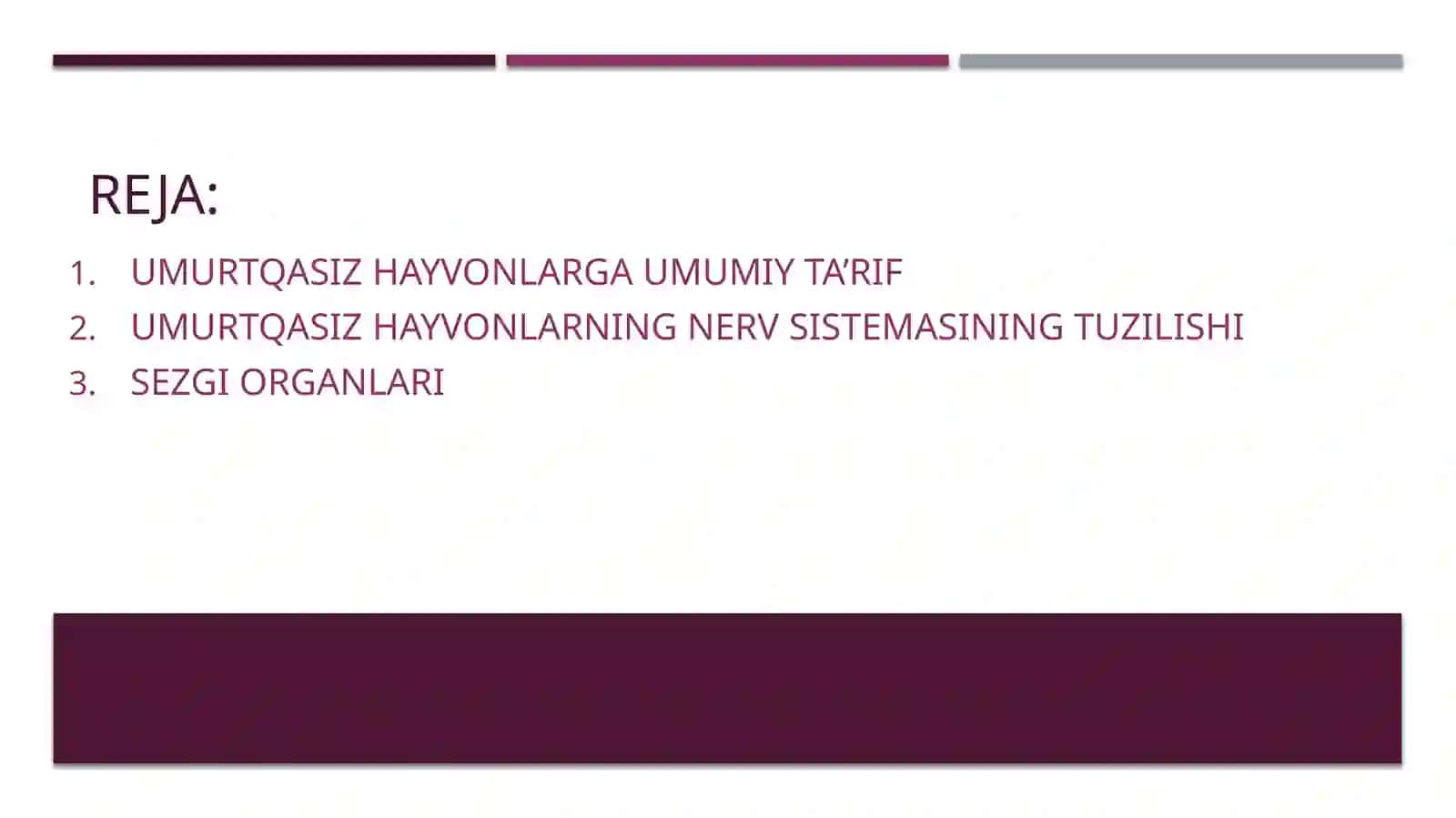 Umurtqasiz organizmning nerv sistemasining tuzilishi 2
