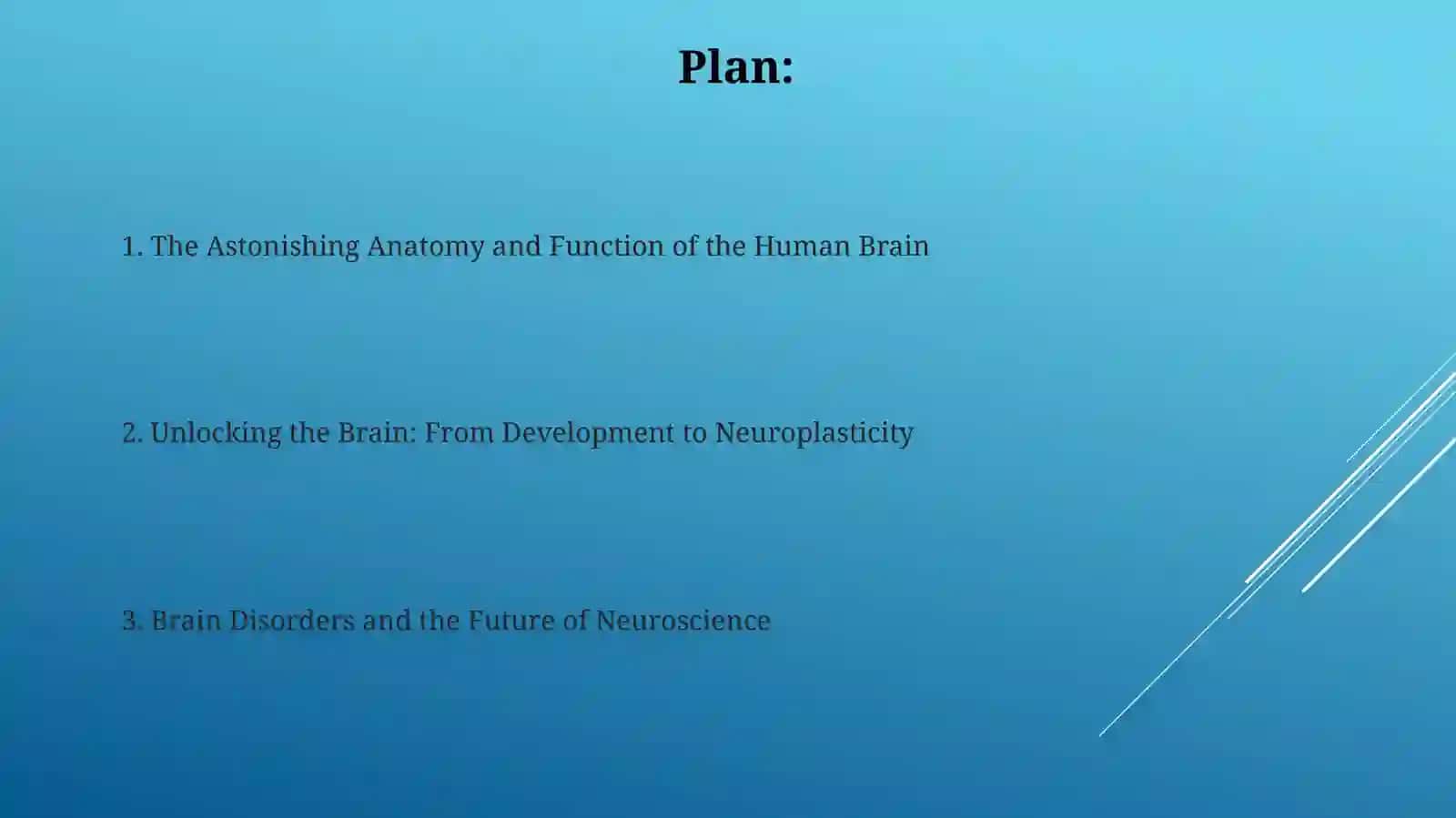 Human brain 2