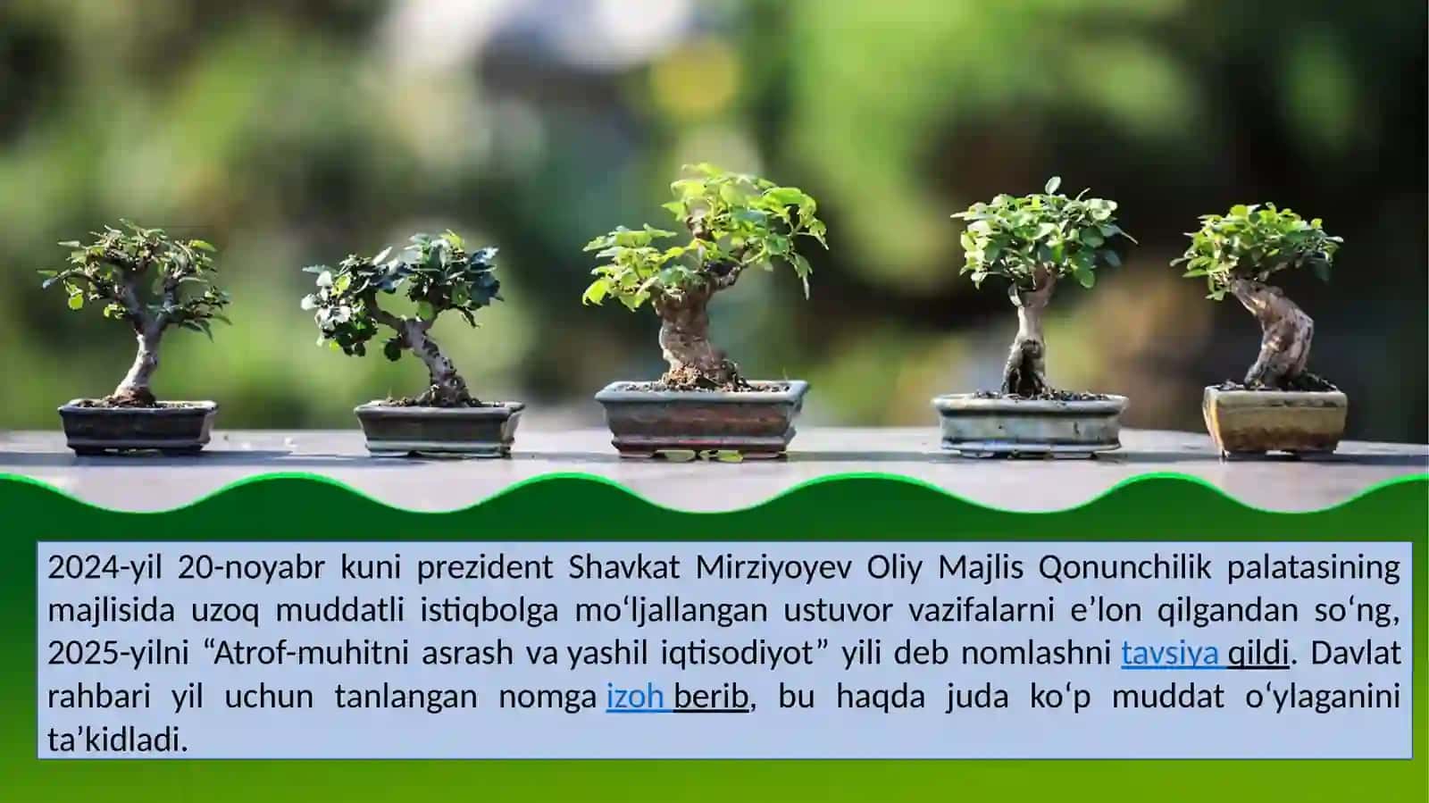 "Atrof-muhitni asrash, yashil iqtisodiyot" yili 2