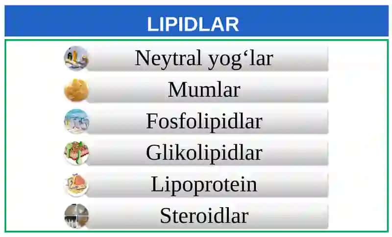 Lipidlar 2