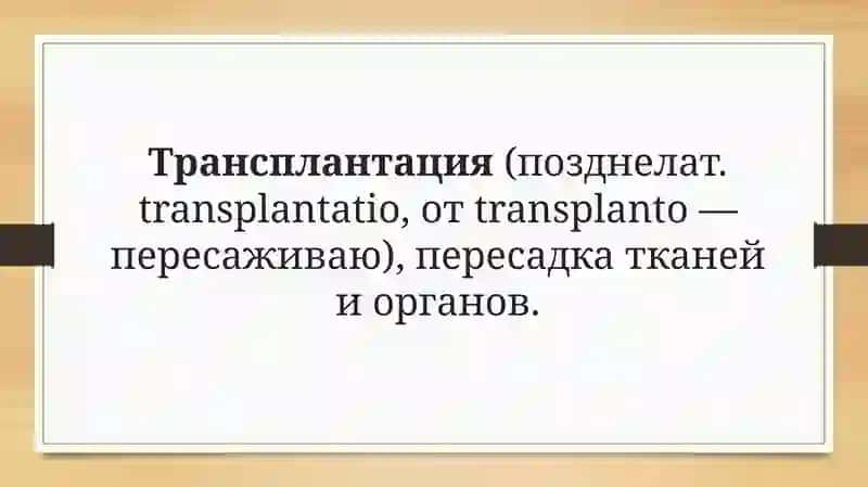 Трансплантация 2