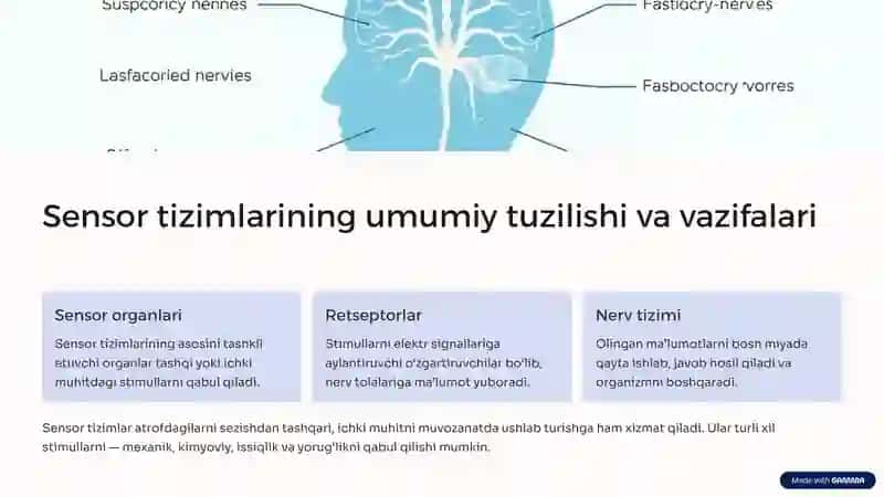Sensor tizimlari, tekshirish usullari va retseptorlarning sinflanishi 2