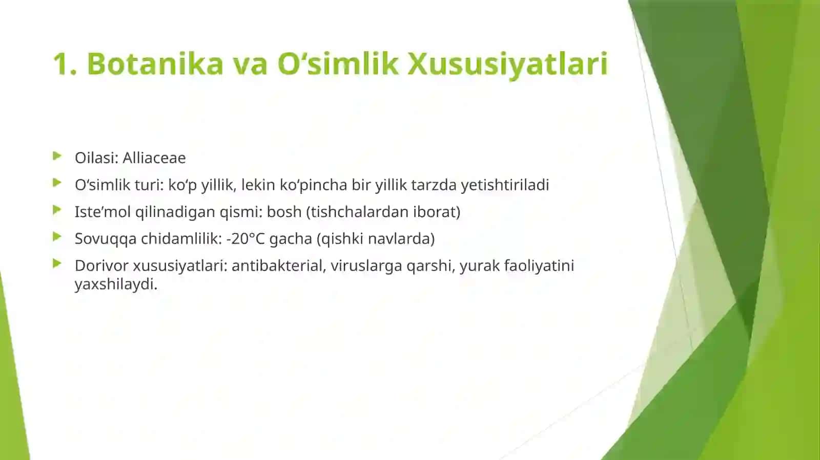 Sarimsoq yetishtirish texnologiyasi 2
