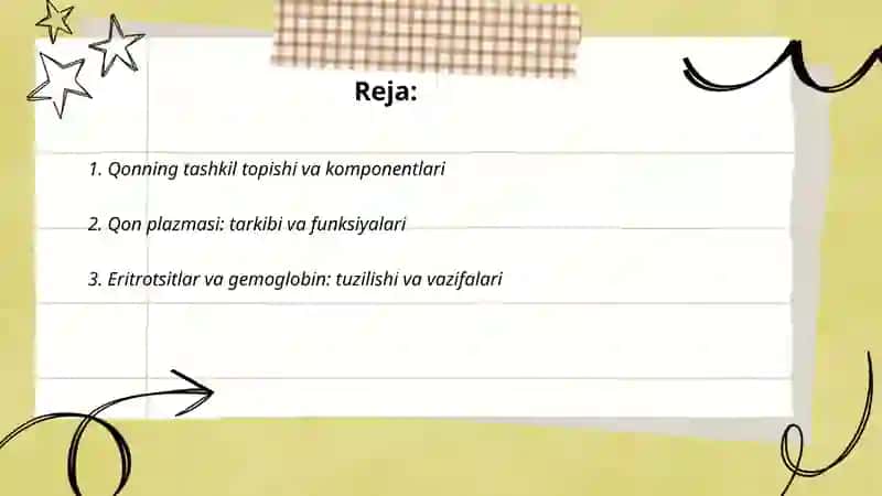 Qon aylanishi qon fizologiyasi 2
