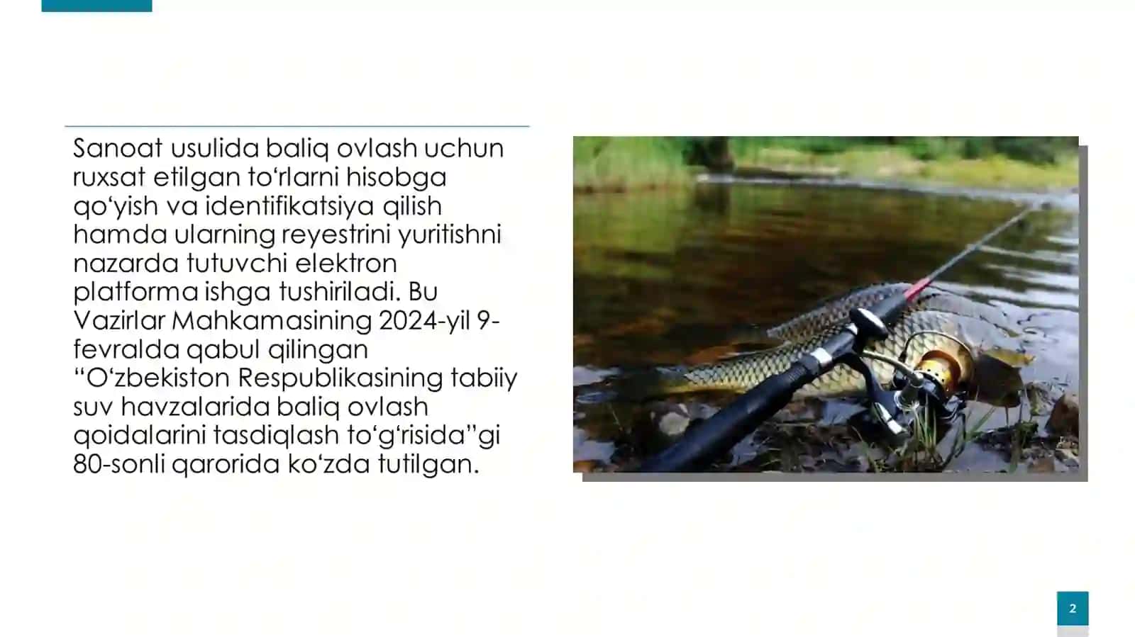 OV QILISH VA BALIQ OVLASHNI HUQUQIY TARTIBGA SOLISH 2