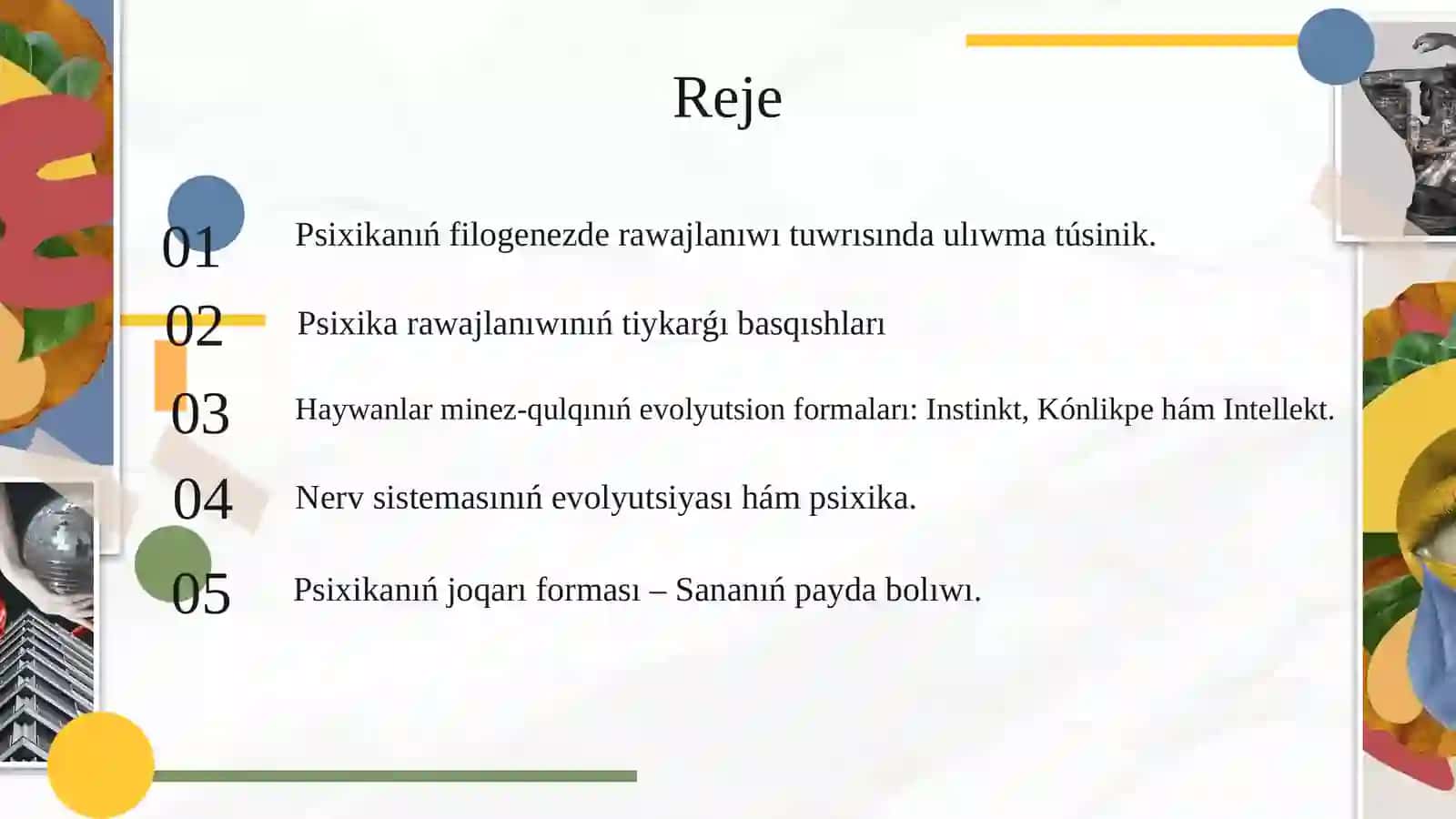 Psixikanıń filogenezde rawajlanıwı 2