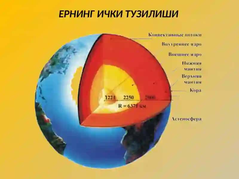 Ернинг Ички Тузилиши 2