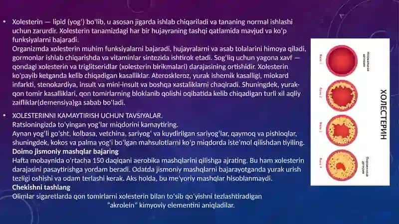 Xolesterin tashilishida qatnashuvchi APO oqsillarning sifingolipidozi 2