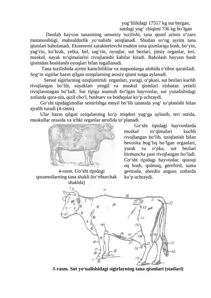 Chorva Mollarining Konstitutsiyasi va Ekstereri 2
