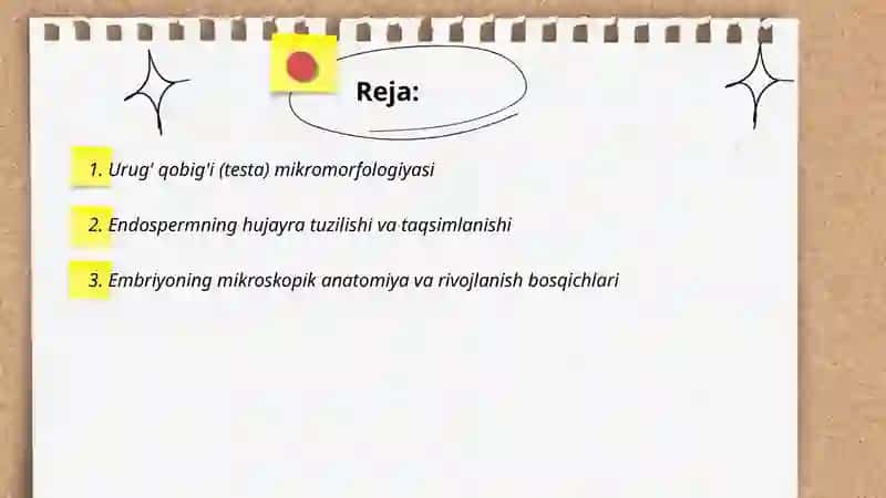 Urug' qobig'i (testa) mikromorfologiyasi 2