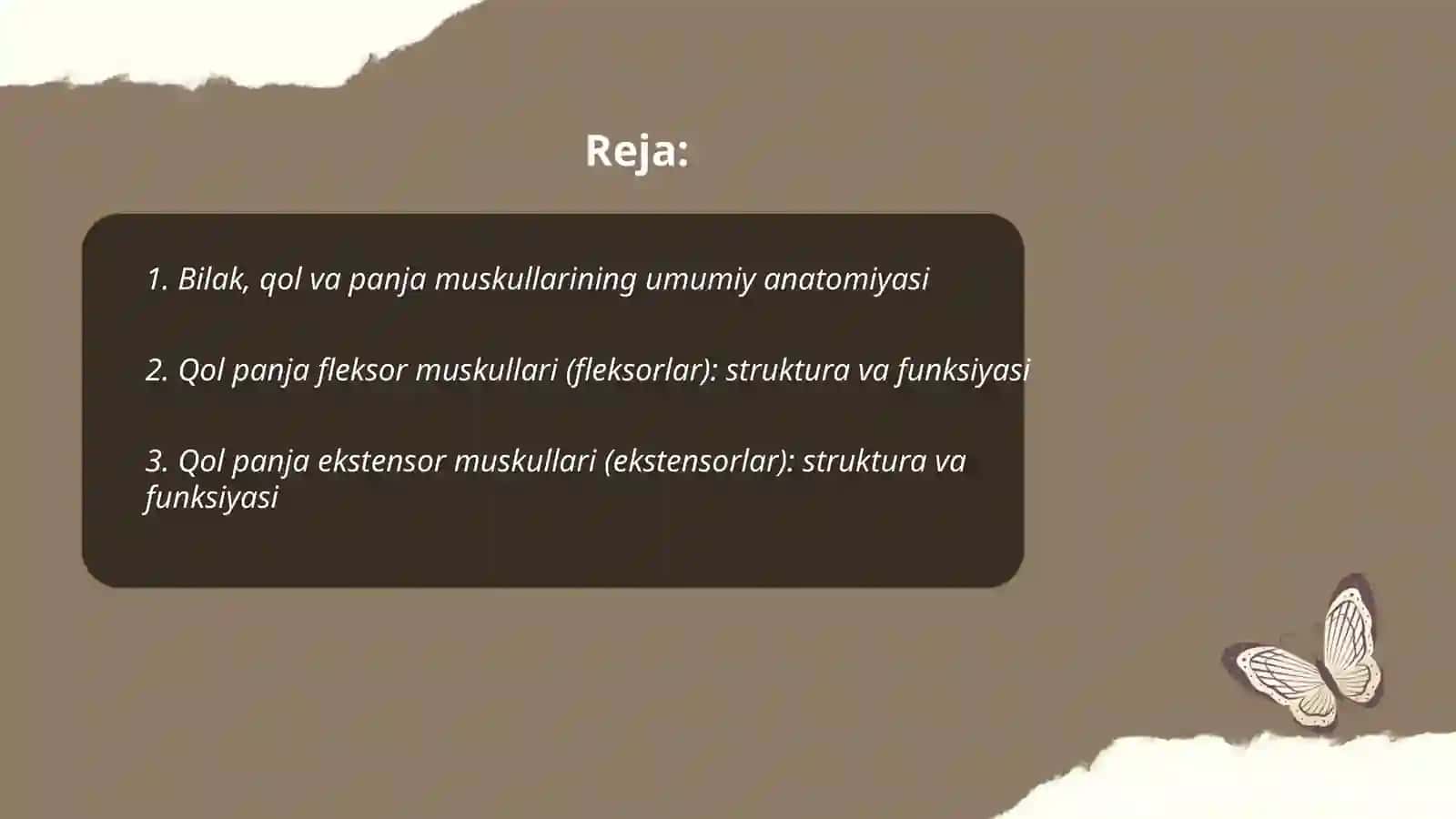 Bilak, qol va panja muskullari 2